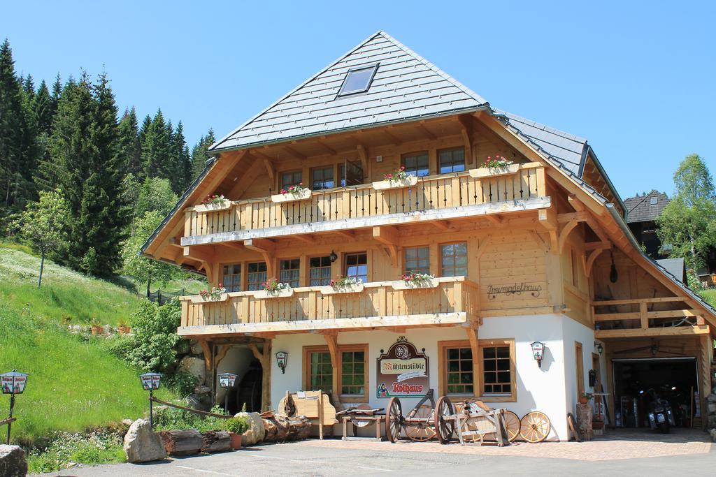 Hotel & Restaurant Gruener Baum - Die Gruene Oase Am Feldberg Feldberg  Buitenkant foto
