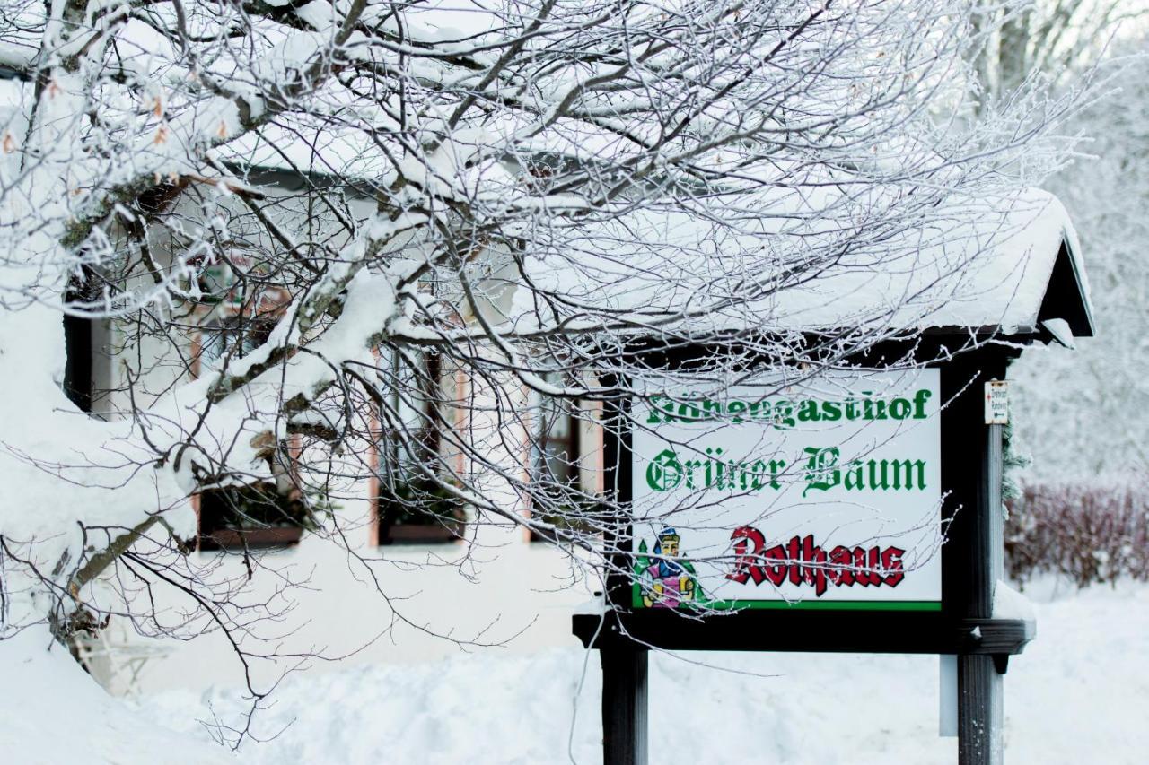 Hotel & Restaurant Gruener Baum - Die Gruene Oase Am Feldberg Feldberg  Buitenkant foto